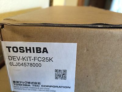 Toshiba 6LJ04578000 Kit Manutenzione Originale (DEV-KIT-FC25K)